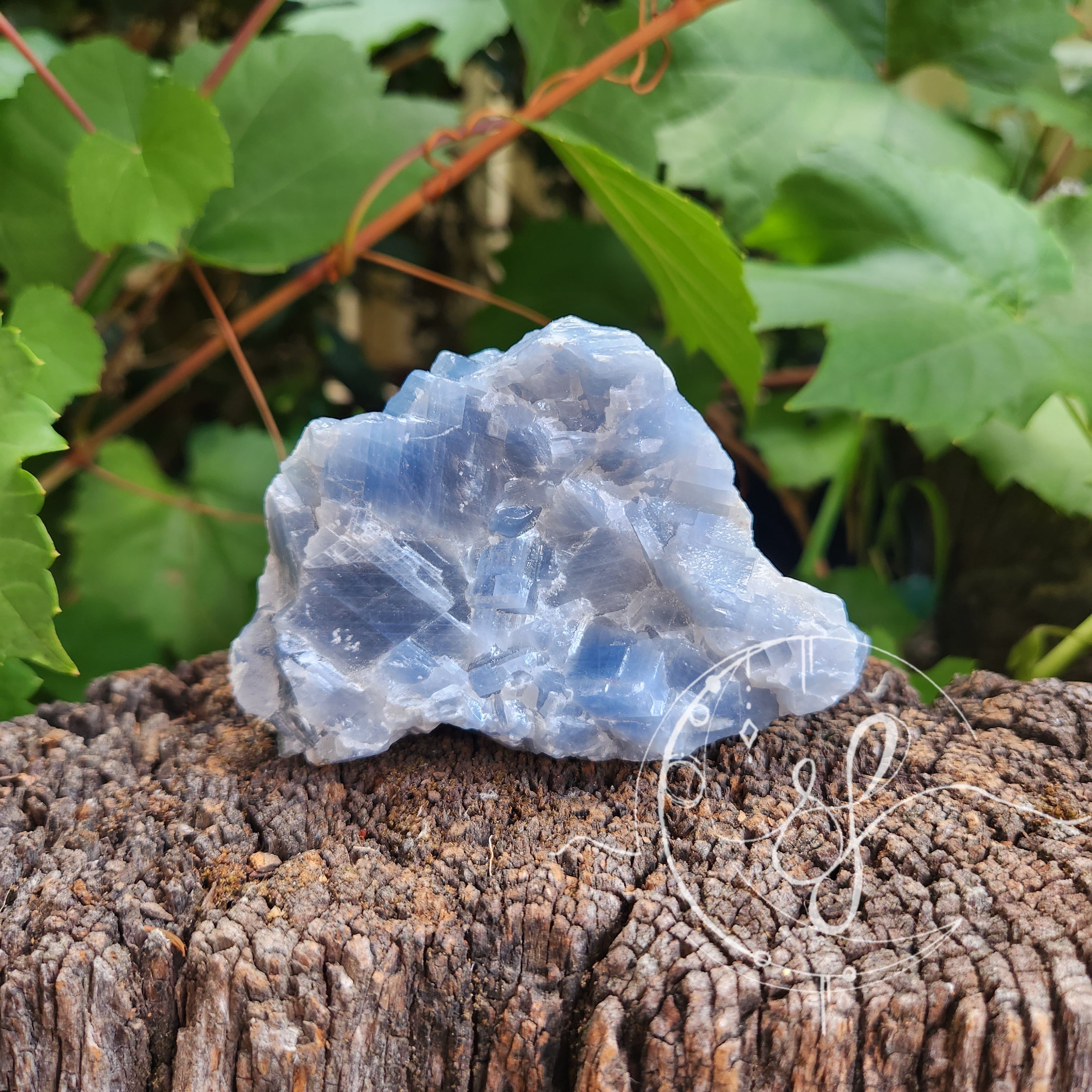 Blue Calcite Raw – She Fire